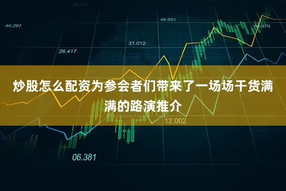 炒股怎么配资为参会者们带来了一场场干货满满的路演推介